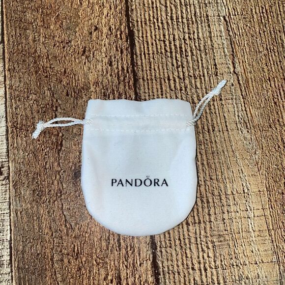 Pandora dust bag - Picture 1 of 2